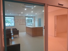 endoscope