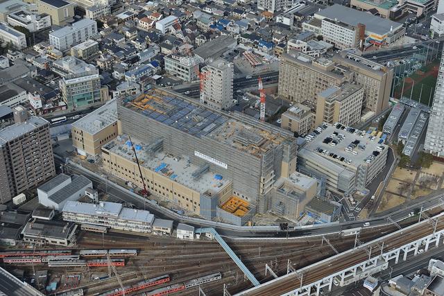 平成27年1月24日