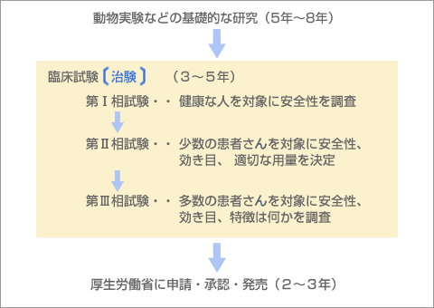 治験薬の評価の流れ