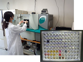同定/薬剤感受性パネル自動測定装置