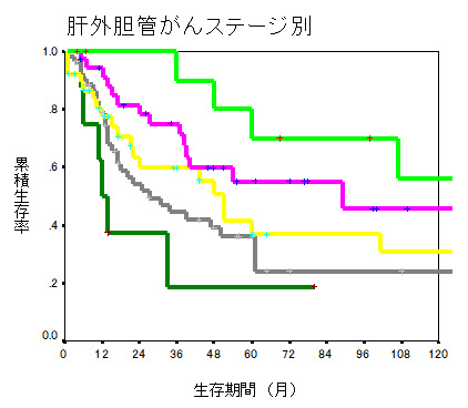 肝外胆管がんステージ別