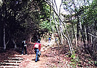 「りんごの会」春のトレッキング(山歩き)