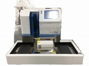 aa-g11