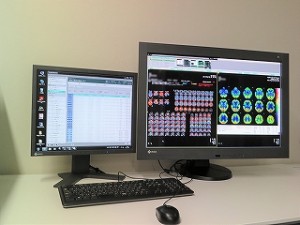 aa-houshasenmonitot