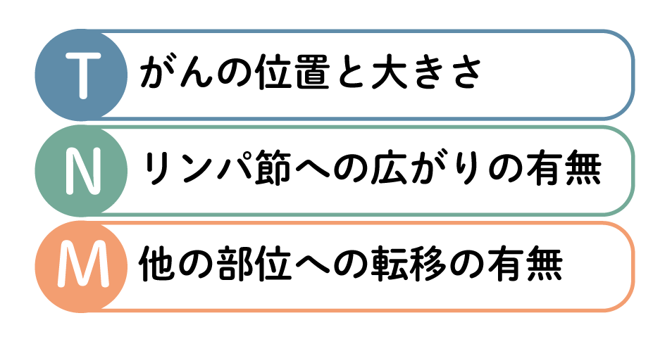 肺がんのTMN分類：Tはがんの位置と大きさ、Nはリンパ節への広がりの有無、Mは他の部位への転移の有無を表す