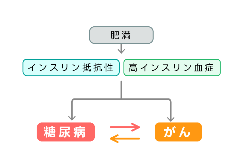 肥満 インスリン抵抗性 高インスリン血症 糖尿病 がん