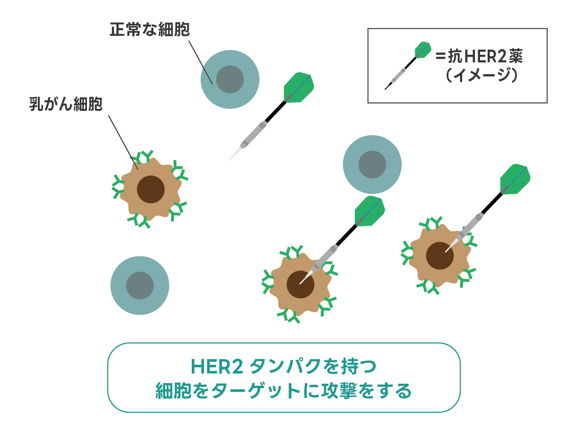 抗HER2薬のイメージ図