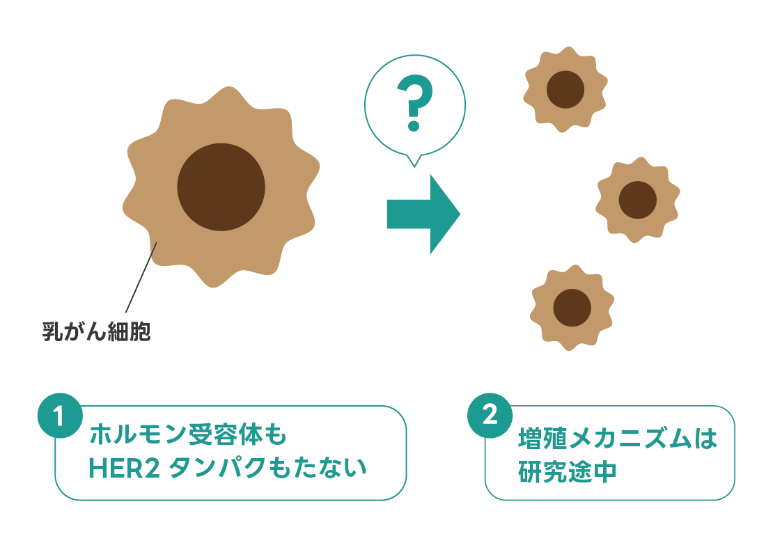 トリプルネガティブタイプ乳がんのイメージ図