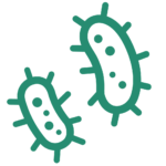 細菌のイメージ図