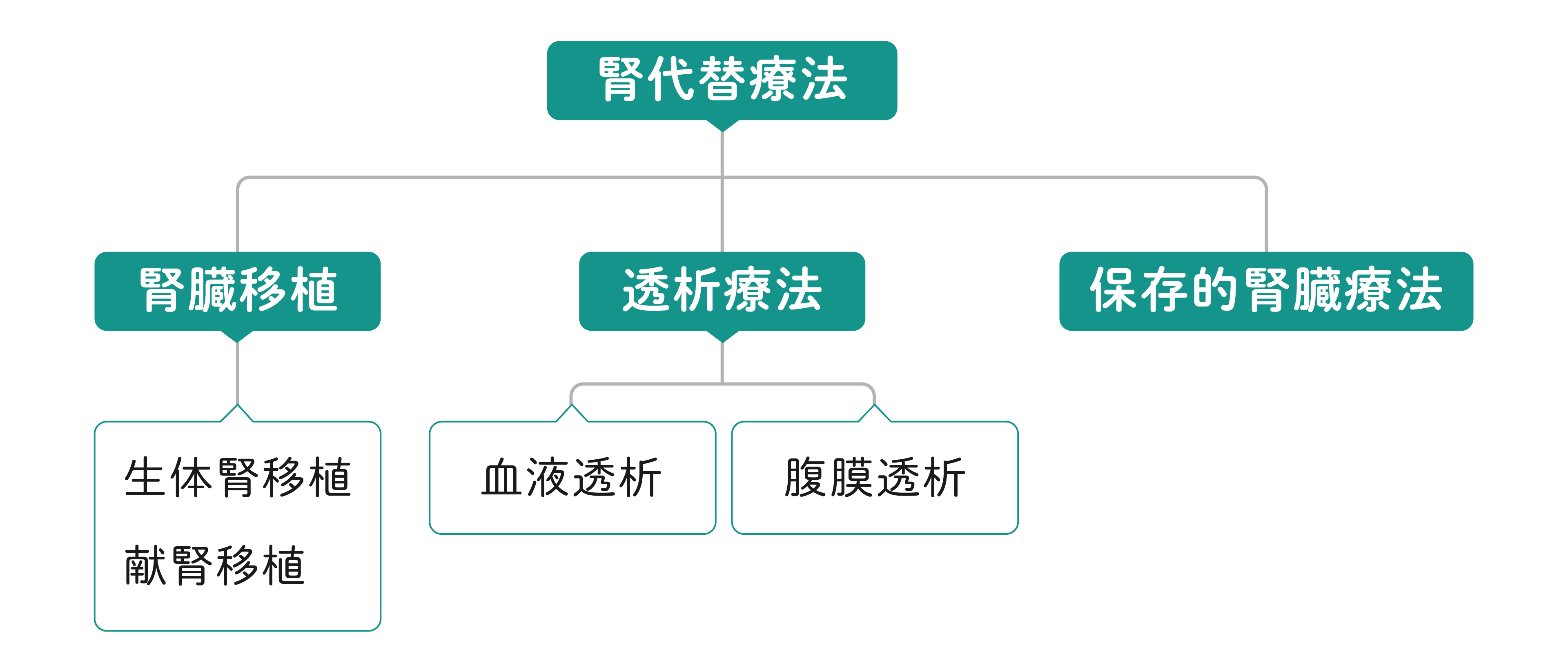 慢性腎不全の治療選択フロー